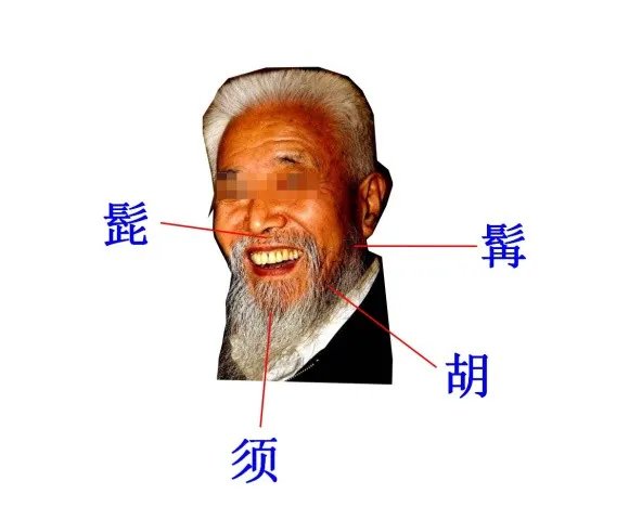 古人胡子图片