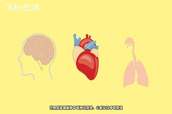 提神醒脑的方法