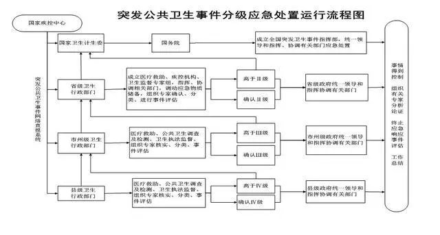 二级响应的标准是什么?