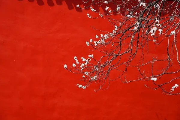 游园不值古诗译文