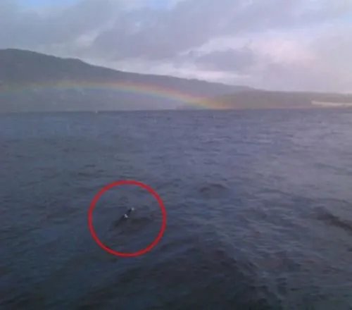 尼斯湖水怪图片真面目吓死人 水怪之谜的真相真的存在吗