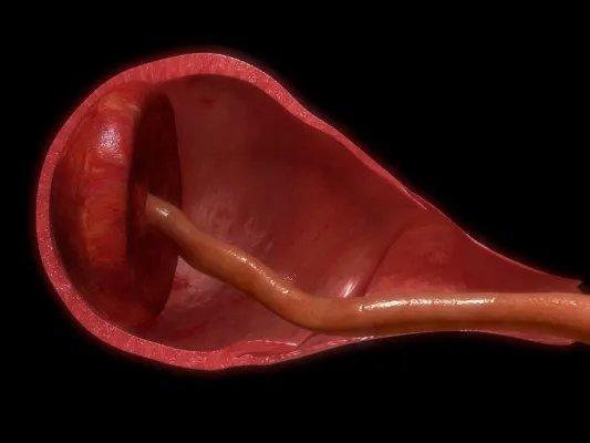 胎盘多肽的优势