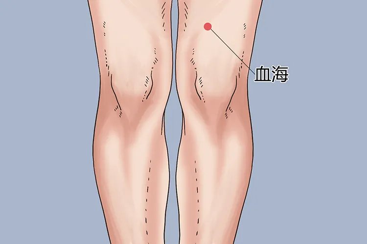 腿部拔罐12个位置示意图