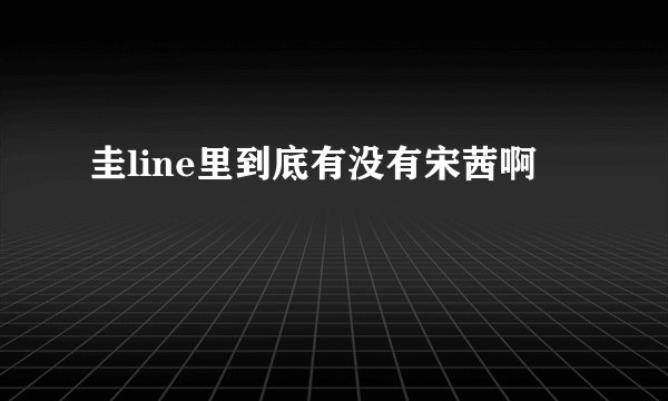 圭line里到底有没有宋茜啊