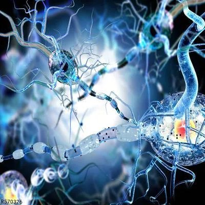 周围神经损伤分级