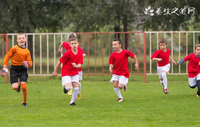 诗词中的甘肃道地药材及其药用价值