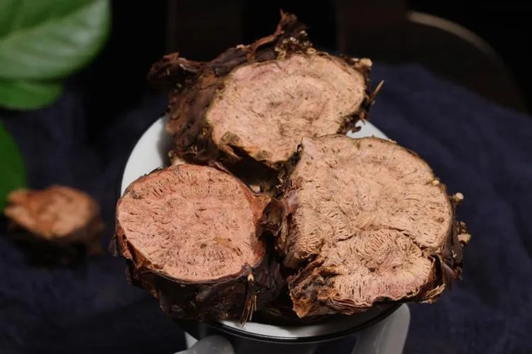 中药红景天图片