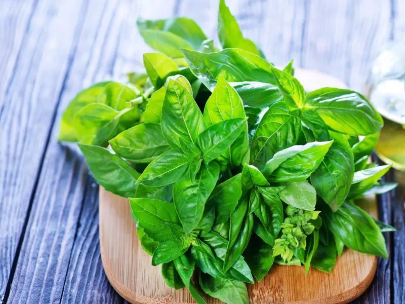 风油精可以喝吗