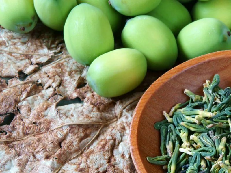 金线莲的功效与作用