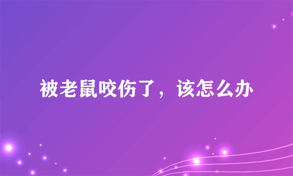 被老鼠咬伤了，该怎么办