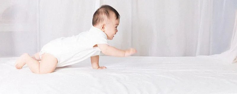 新版百家姓排名 中国最新百家姓排名