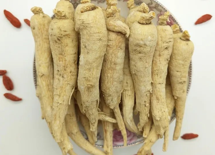 花旗参的功效与作用