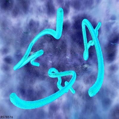 血吸虫病的症状有哪些