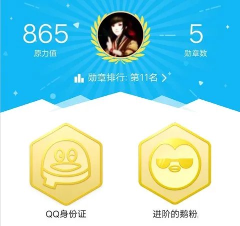 QQ的身份证在哪里看？