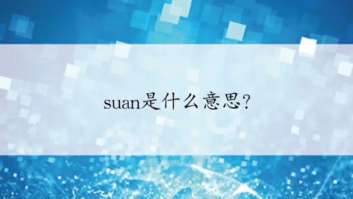 suan是什么意思？