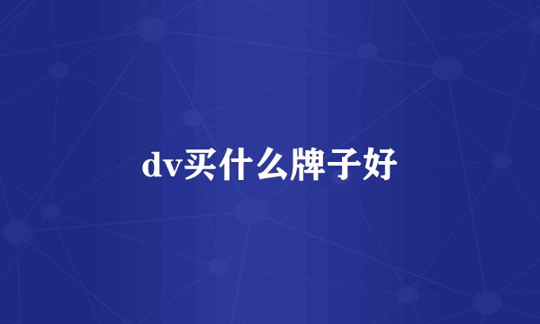 dv买什么牌子好