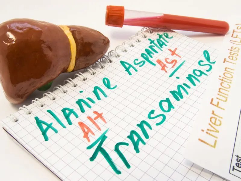 谷草转氨酶是什么