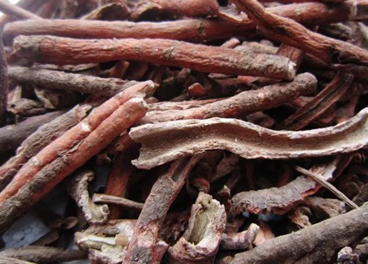 丹皮的功效与作用