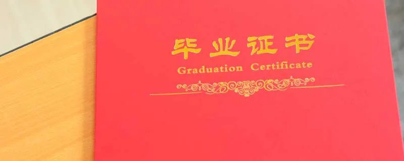 学历证书号是哪一个 学历证书编号是什么