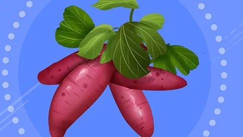 血糖高的人可以吃番薯吗