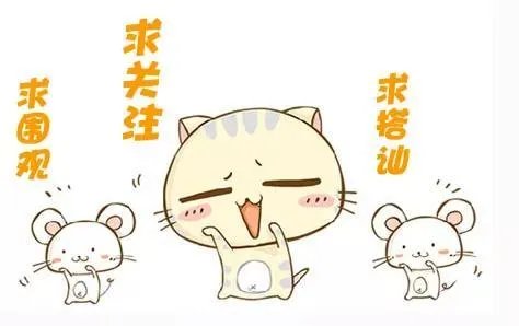 有哪些小清新歌曲推荐?