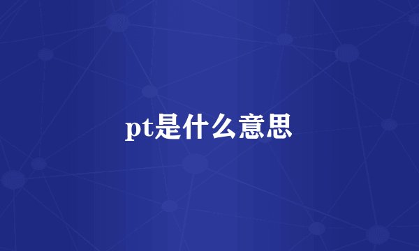pt是什么意思