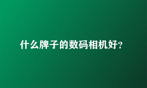 什么牌子的数码相机好？