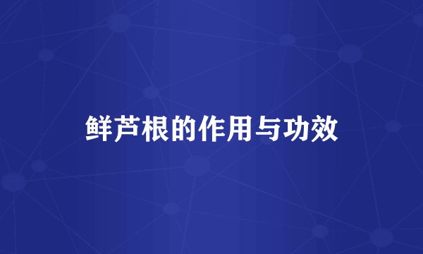 鲜芦根的作用与功效