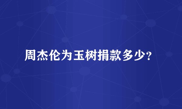周杰伦为玉树捐款多少？