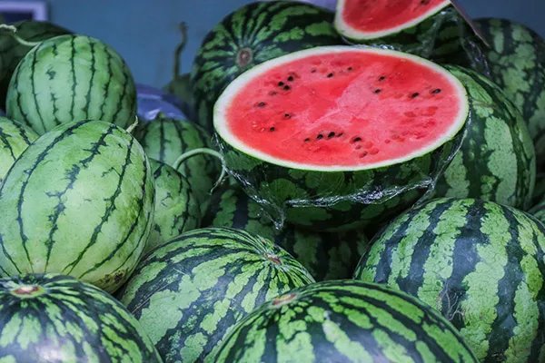 西瓜是寒性的吗
