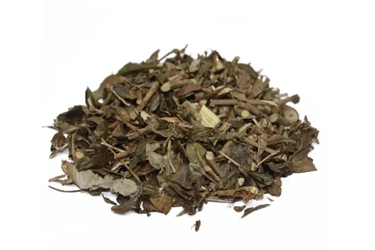 中药六月雪图片大全