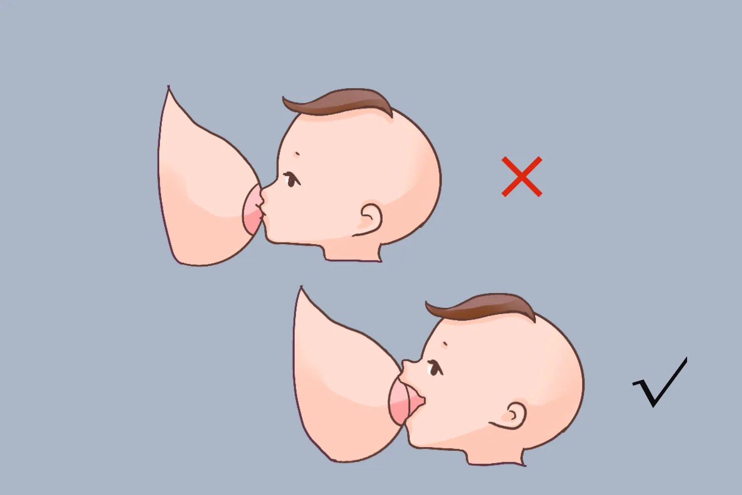 宝宝出牙的顺序图