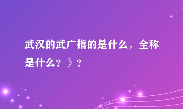 武汉的武广指的是什么，全称是什么？》？