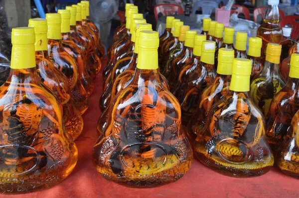 为什么要拿蛇泡酒呢