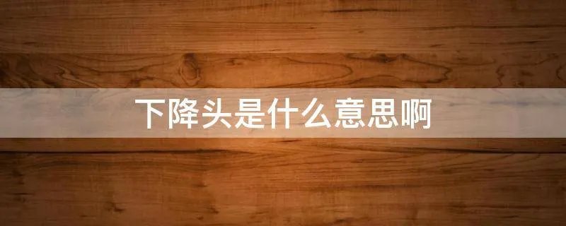 下降头是什么意思啊