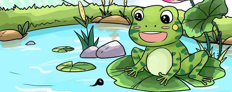 青蛙的呼吸器官 青蛙的呼吸器官是什么