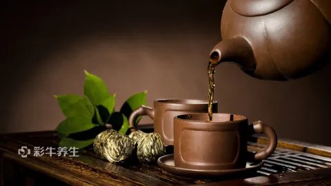 信阳毛尖的功效与作用