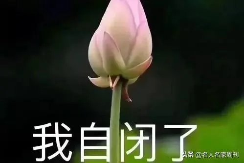 有什么带字的伤感图片？