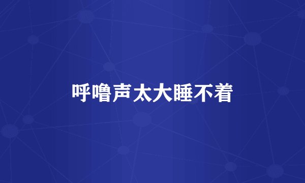 呼噜声太大睡不着