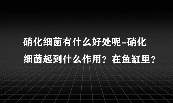 硝化细菌有什么好处呢-硝化细菌起到什么作用？在鱼缸里？