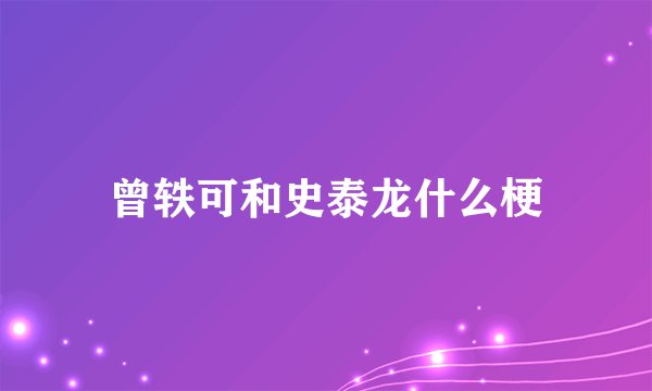 曾轶可和史泰龙什么梗
