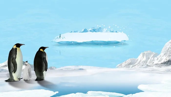 企鹅是哺乳动物吗