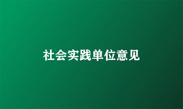 社会实践单位意见