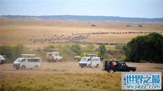 非洲人口最多的国家排行榜，尼日利亚1.9亿位居第一 