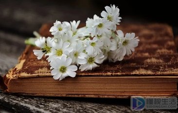 i am because you are出自哪里