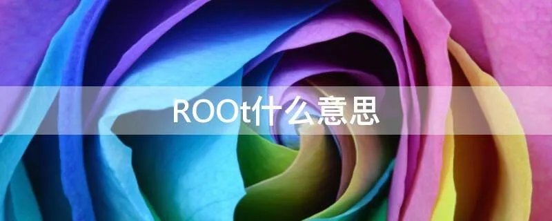 ROOt什么意思