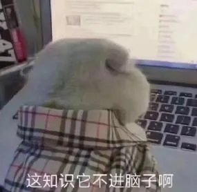 量子波动速读被要求整改，多少中国父母被“神童培训班”忽悠？