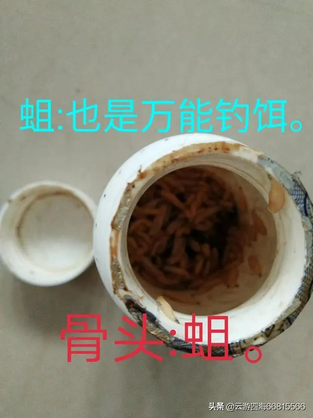 船钓用什么钓具