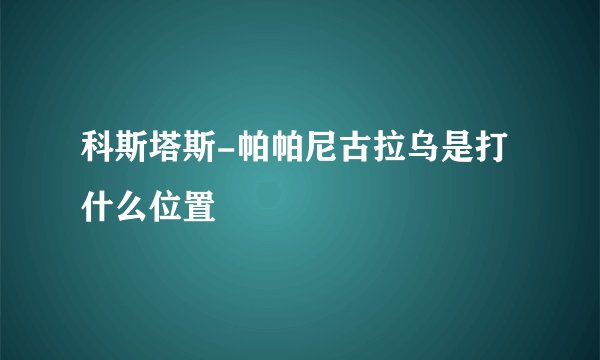 科斯塔斯-帕帕尼古拉乌是打什么位置