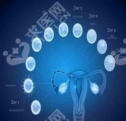 温州医科大学附属第一医院试管婴儿技术怎么样？